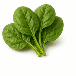 Spinach